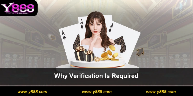 Why Verification Is Required